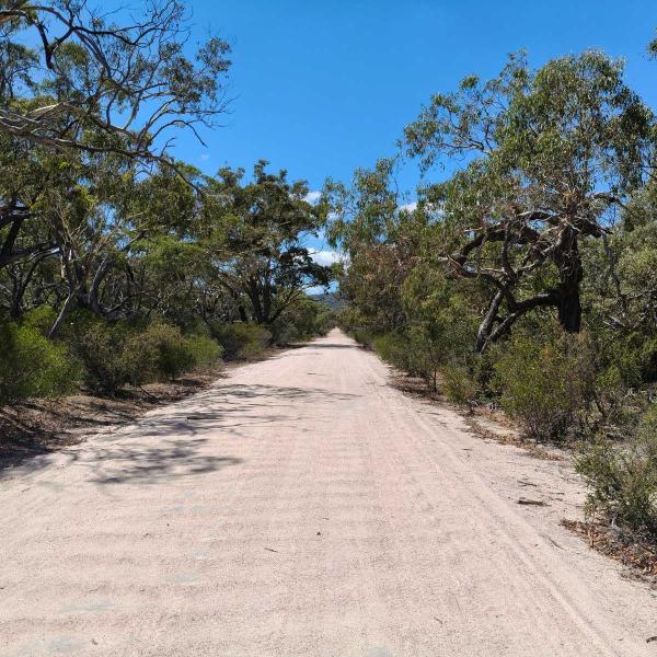 Australian bush dirt track